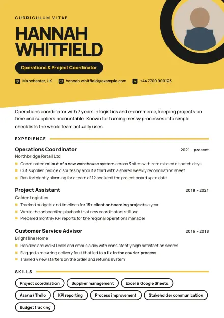 Bold CV template preview