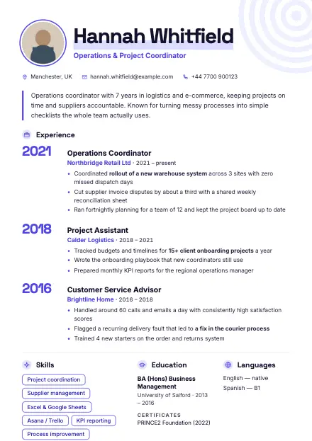 Indigo CV template preview
