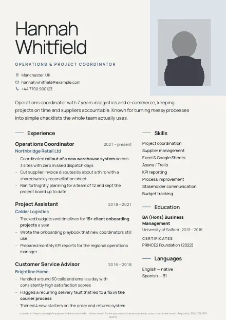 Nordic CV template preview