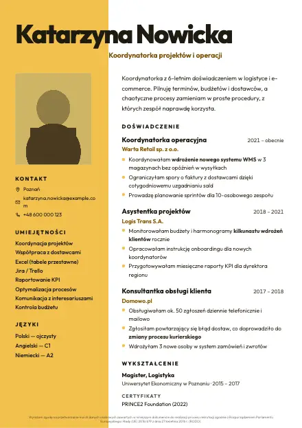 Podgląd wzoru CV Duo