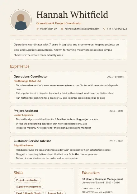Stitch CV template preview