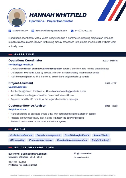 Stripe CV template preview