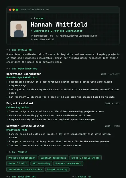 Tech CV template preview