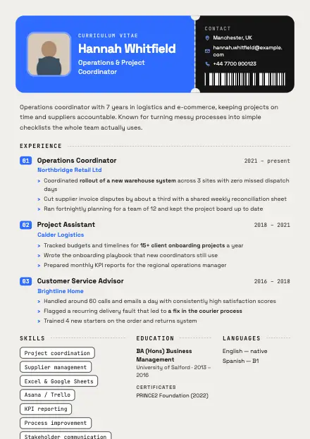 Ticket CV template preview